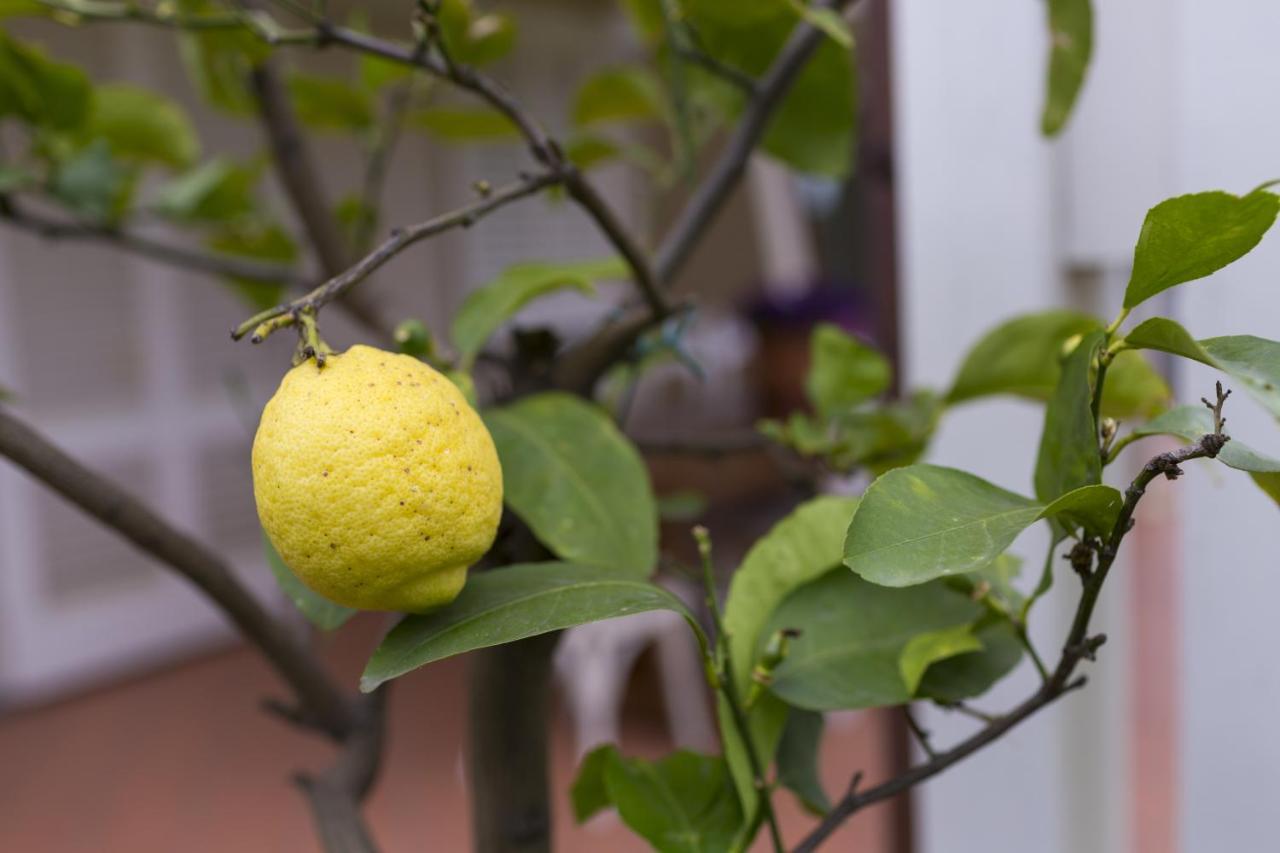B&B Cava Rossa Monsummano Terme Exterior photo