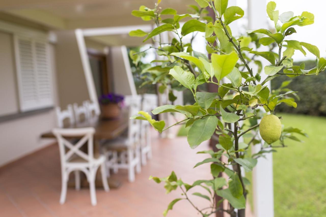 B&B Cava Rossa Monsummano Terme Exterior photo